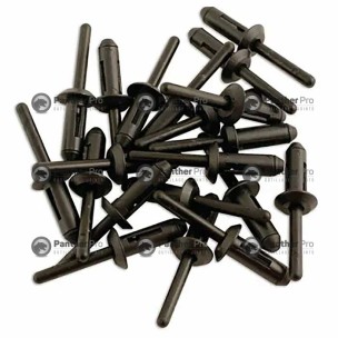 20 RIVETS PLASTIQUES D 6.6MMX17.2MM