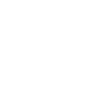 Logo Panther Pro